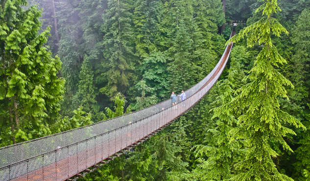 Vancouver Travel Guide